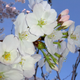 Image for article titled Shooting Challenge: Spring Gallery 2